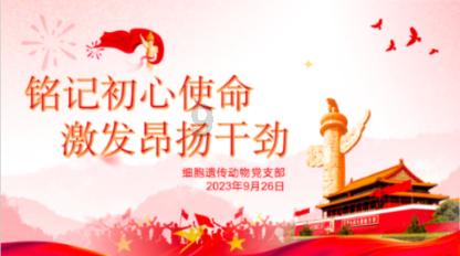 见缝插刀2无敌版