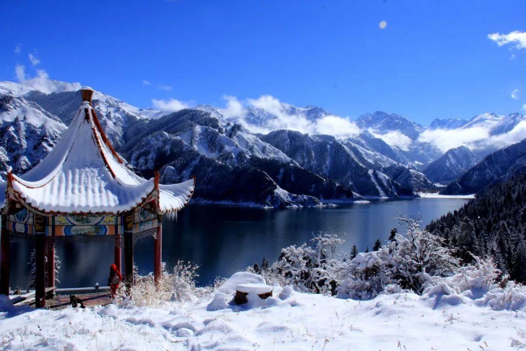 观察者